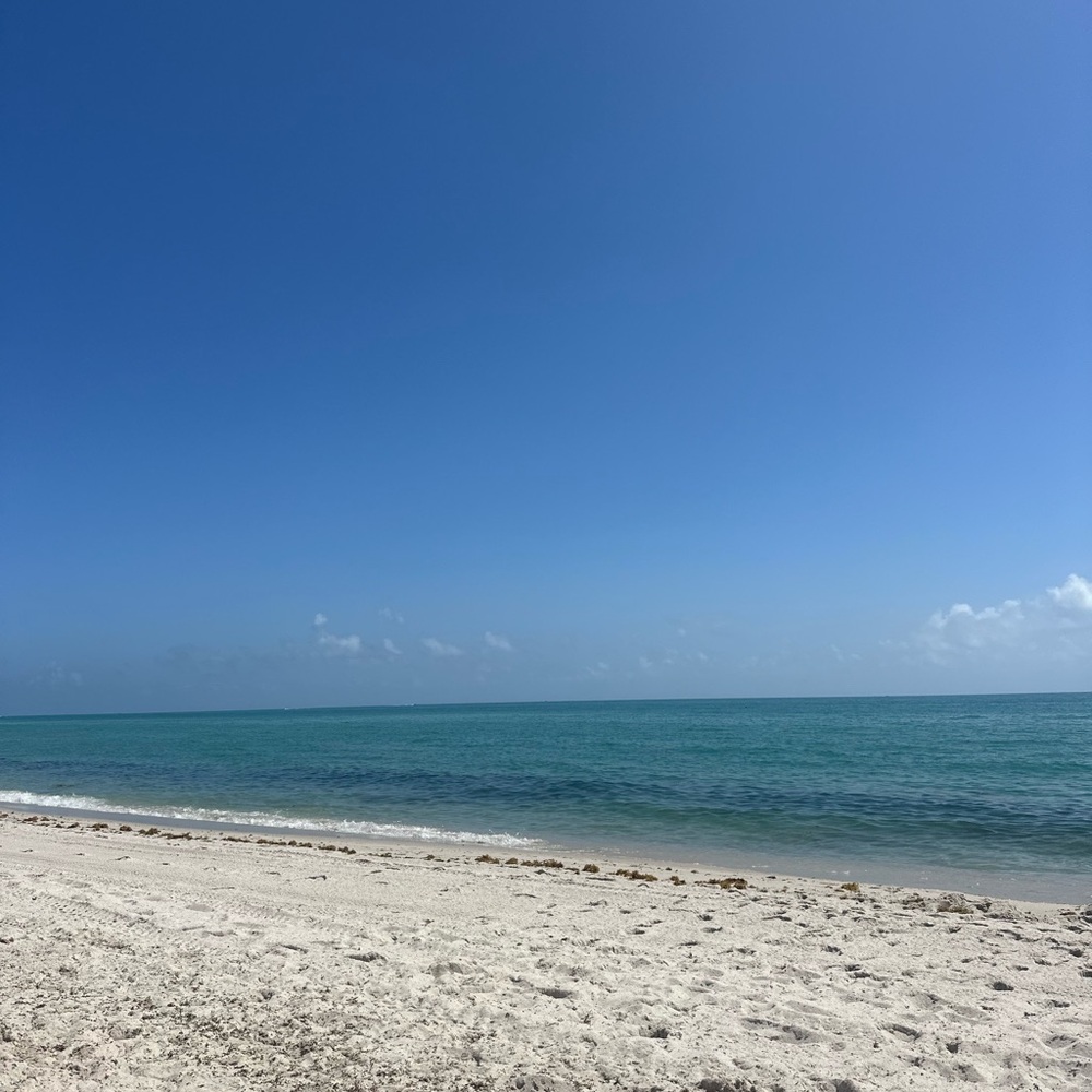 Meet your Posher, Izzy